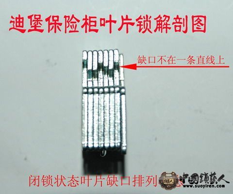 1244177307.jpg