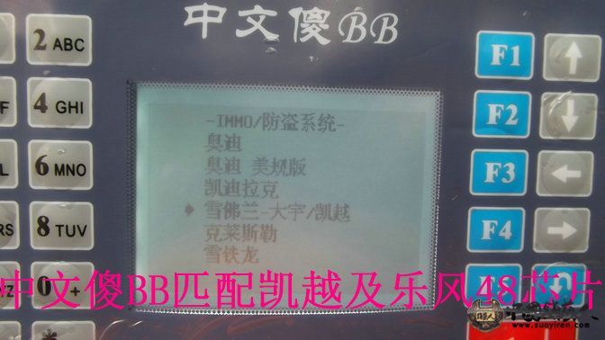 照片 333.jpg
