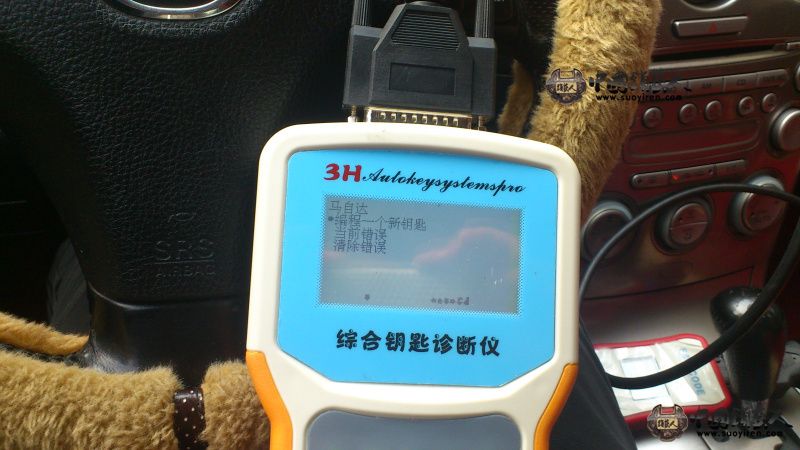 06.jpg