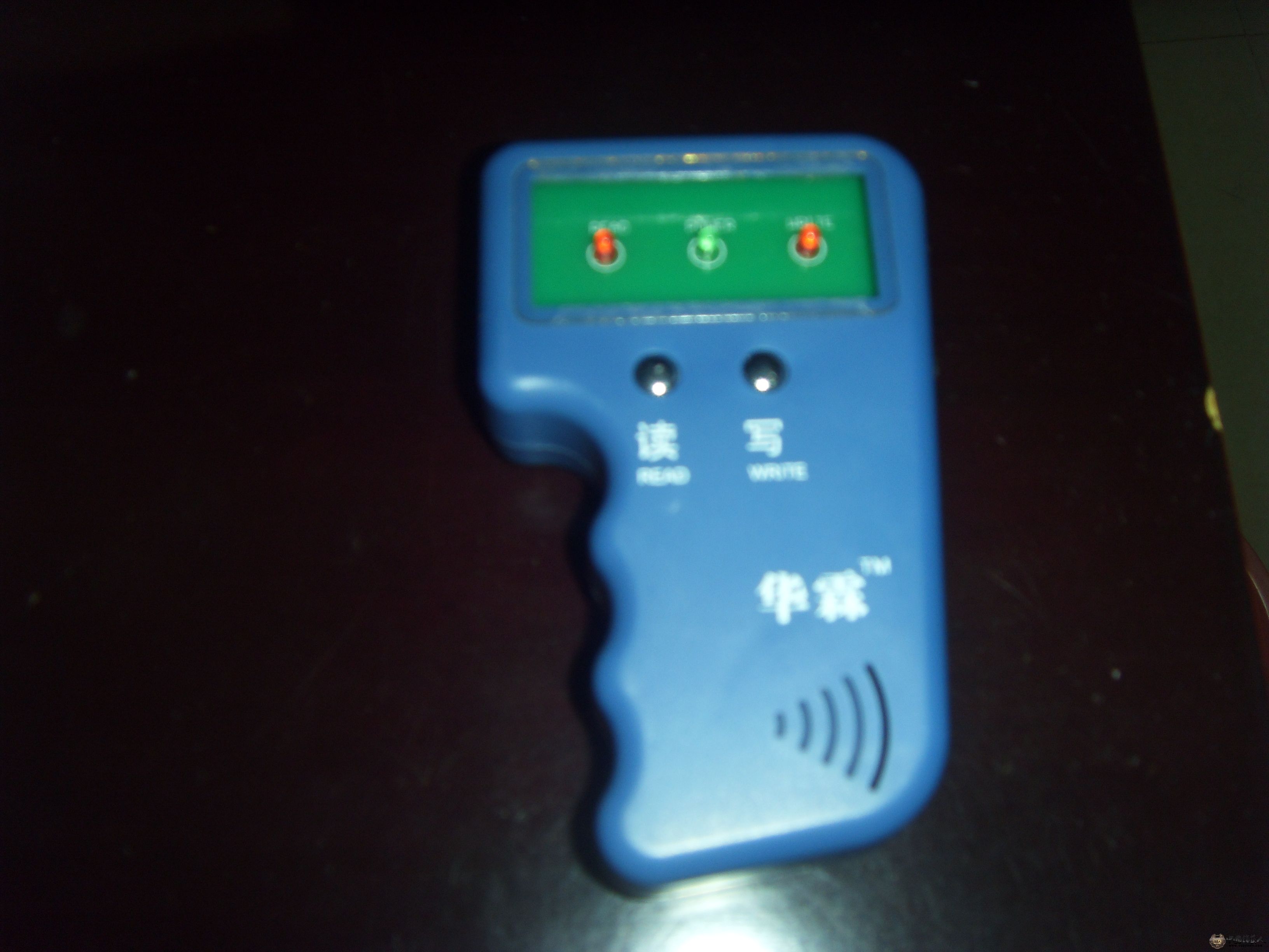 SDC13730.JPG