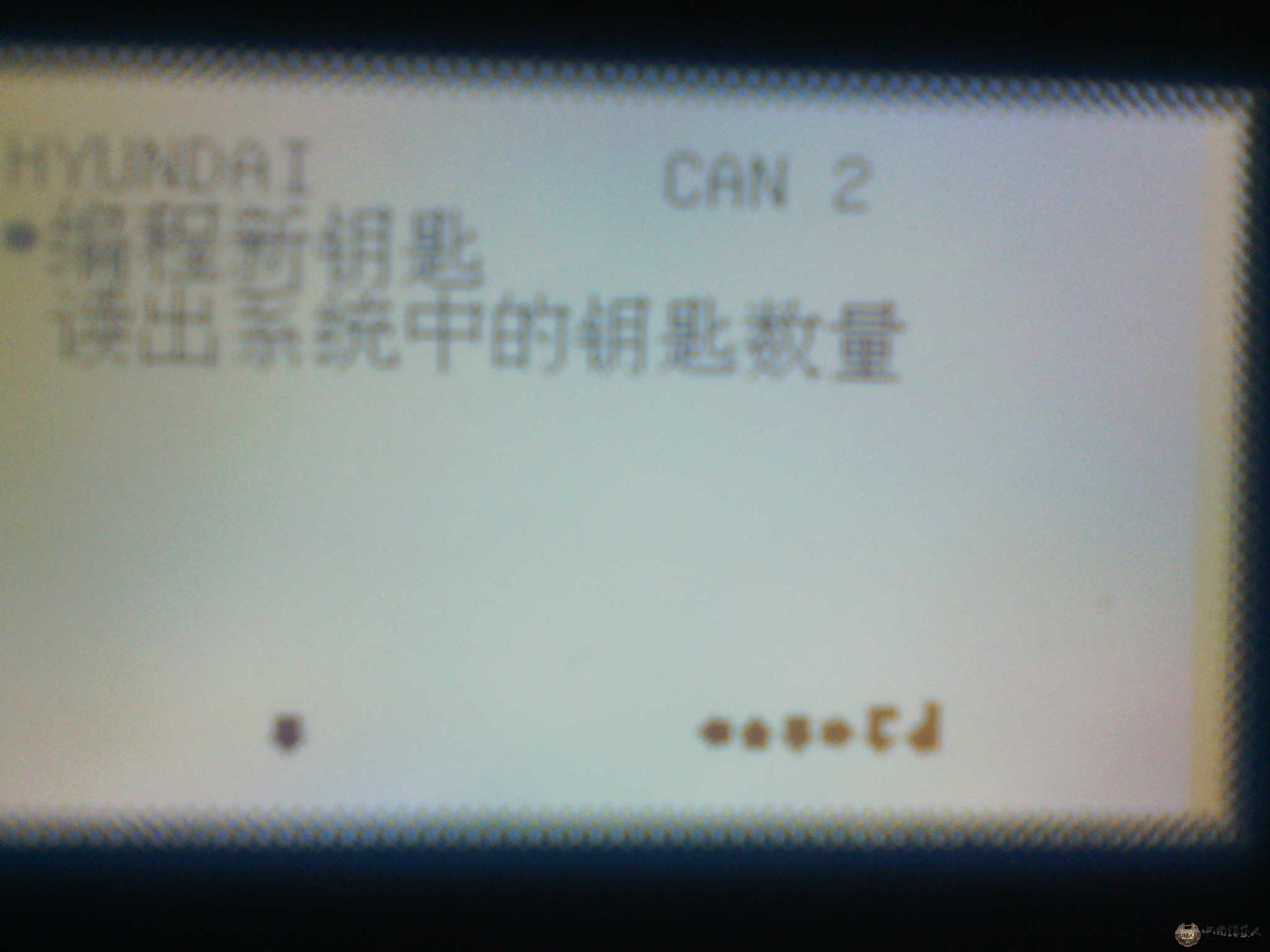IMG_20130203_092558.jpg