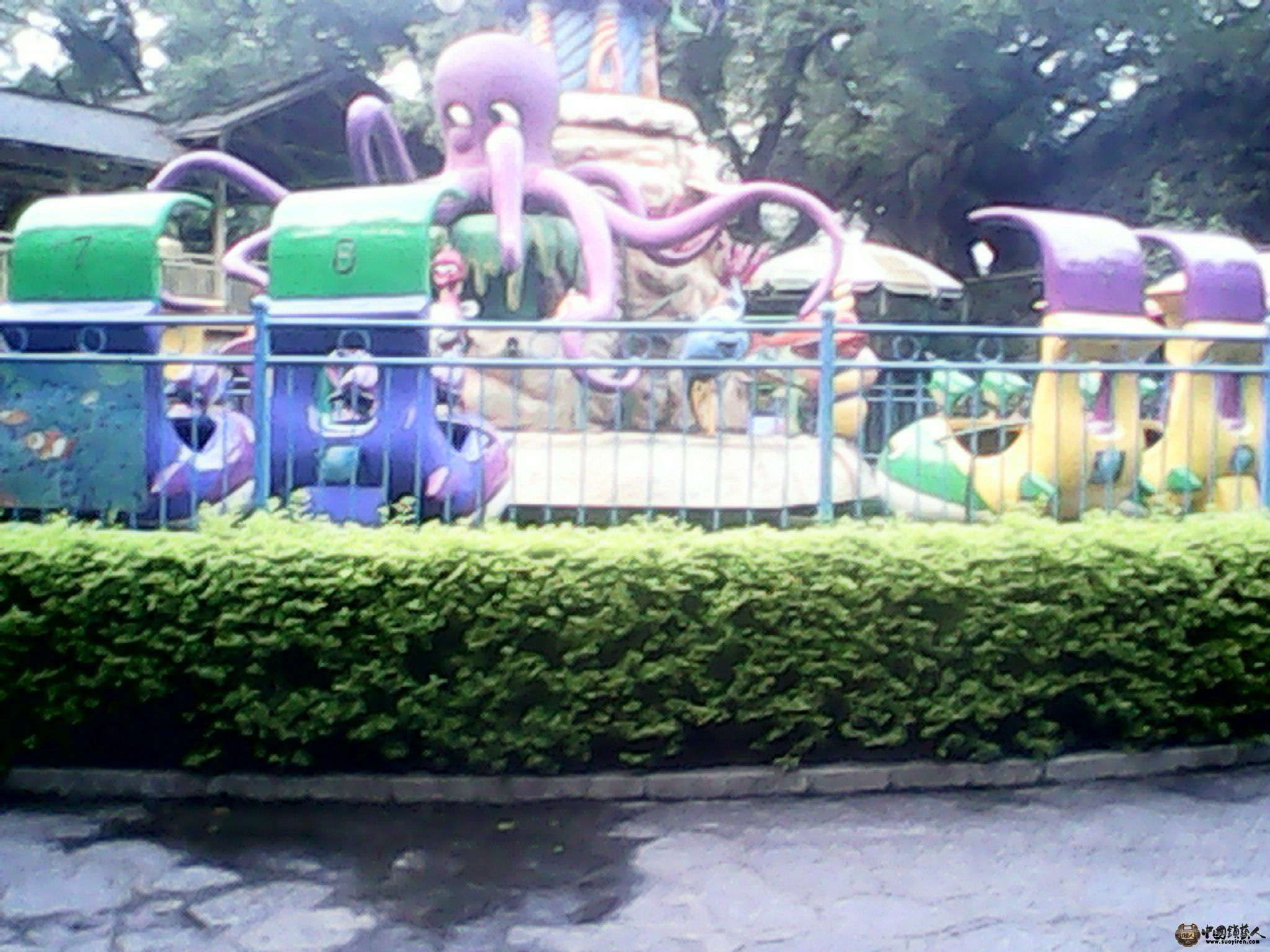IMG_20130520_185512054.jpg