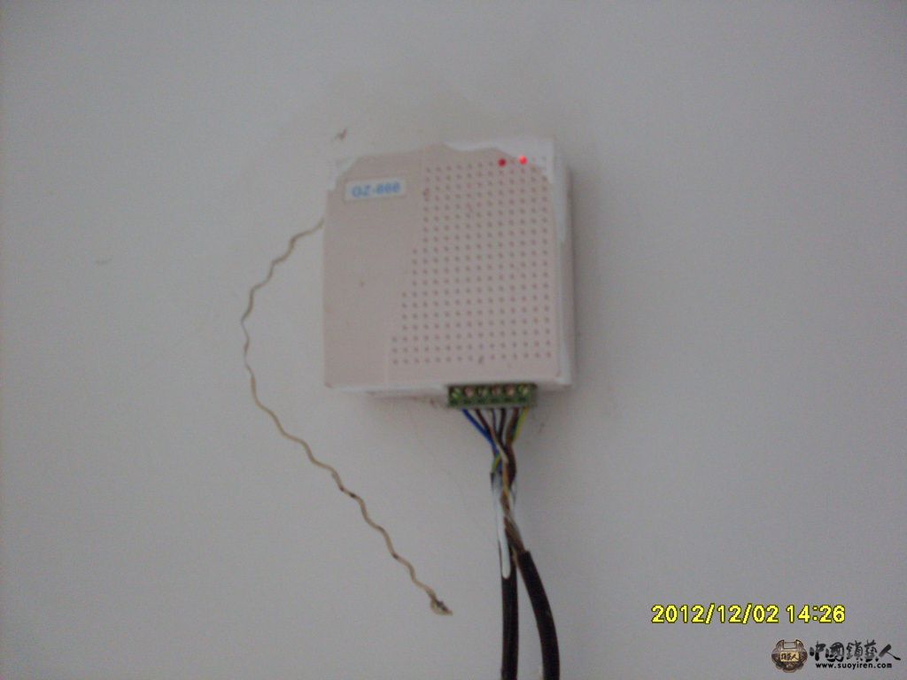 SDC14303.JPG