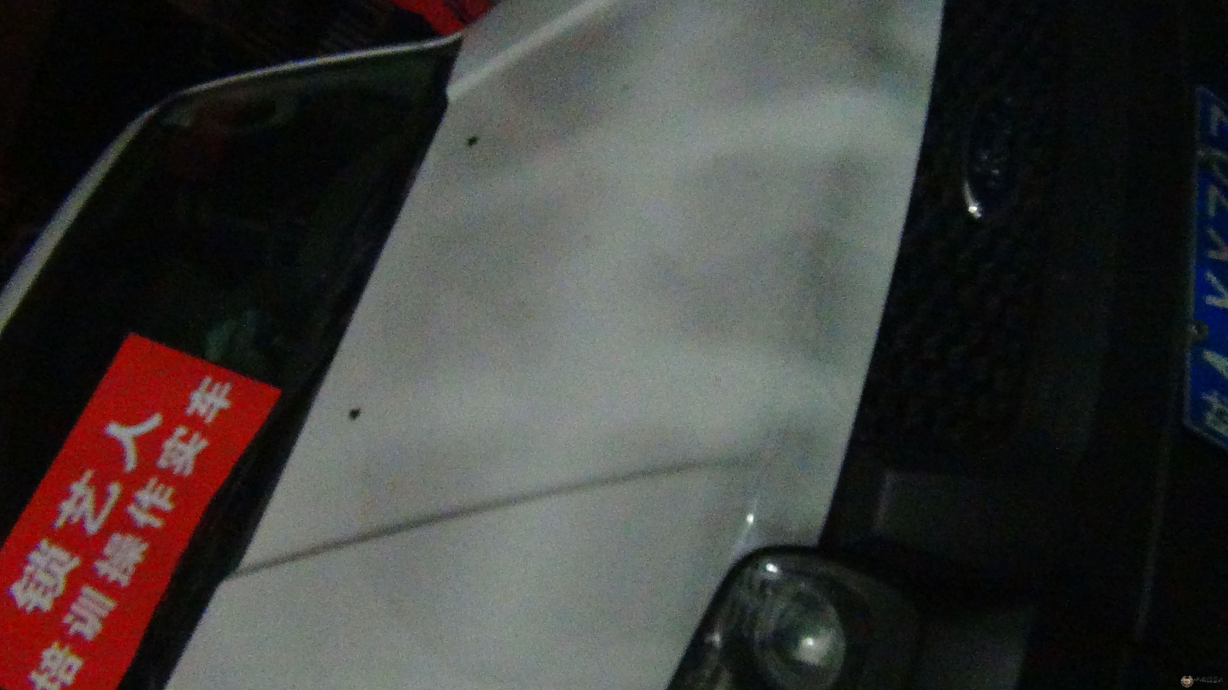 DSC01684.JPG