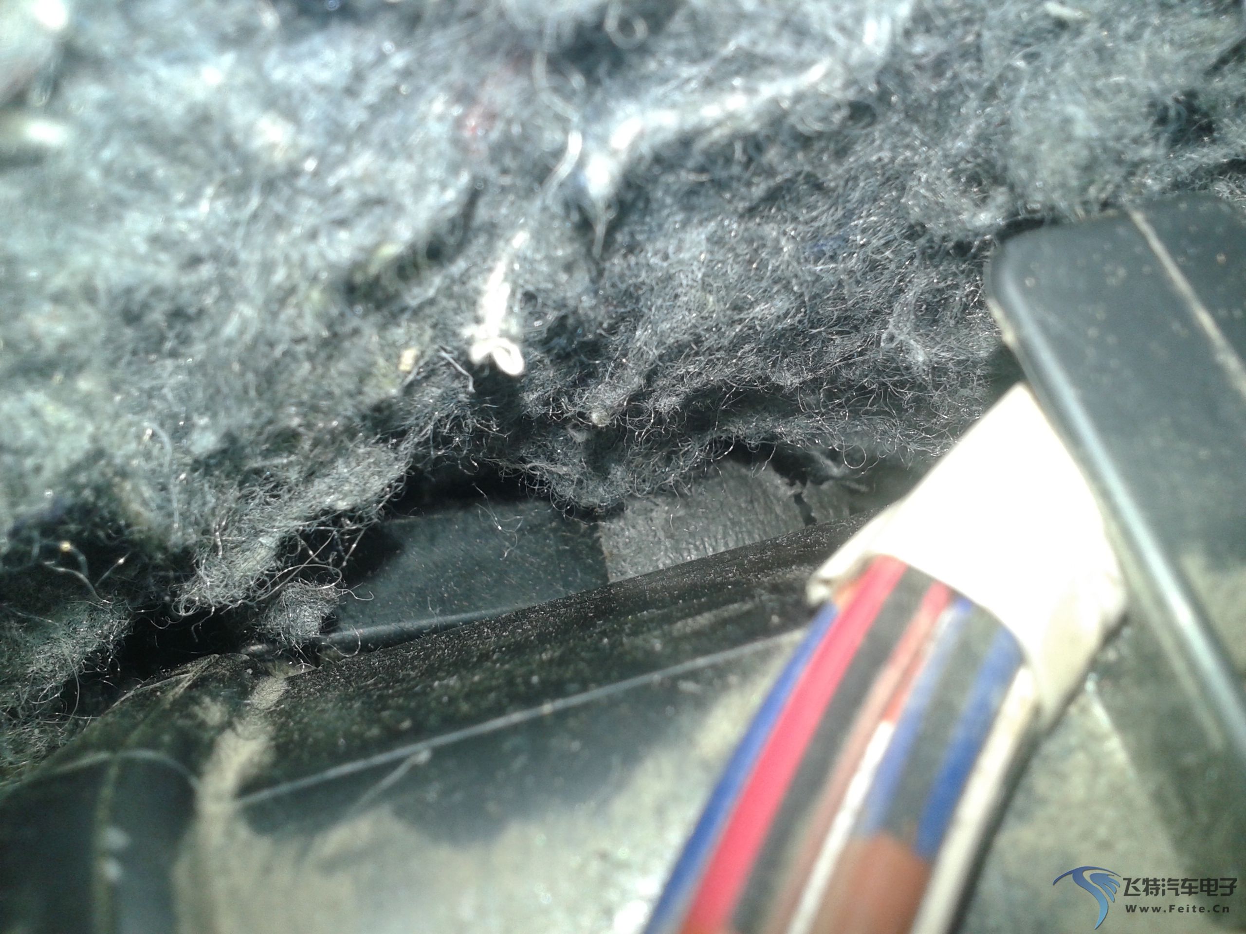 20150401_102835.jpg