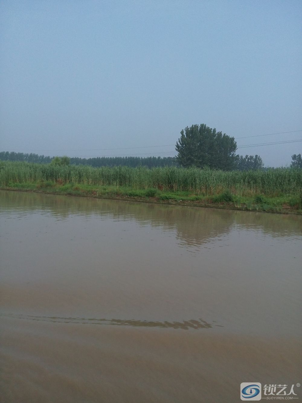 IMG_20150724_085921.jpg