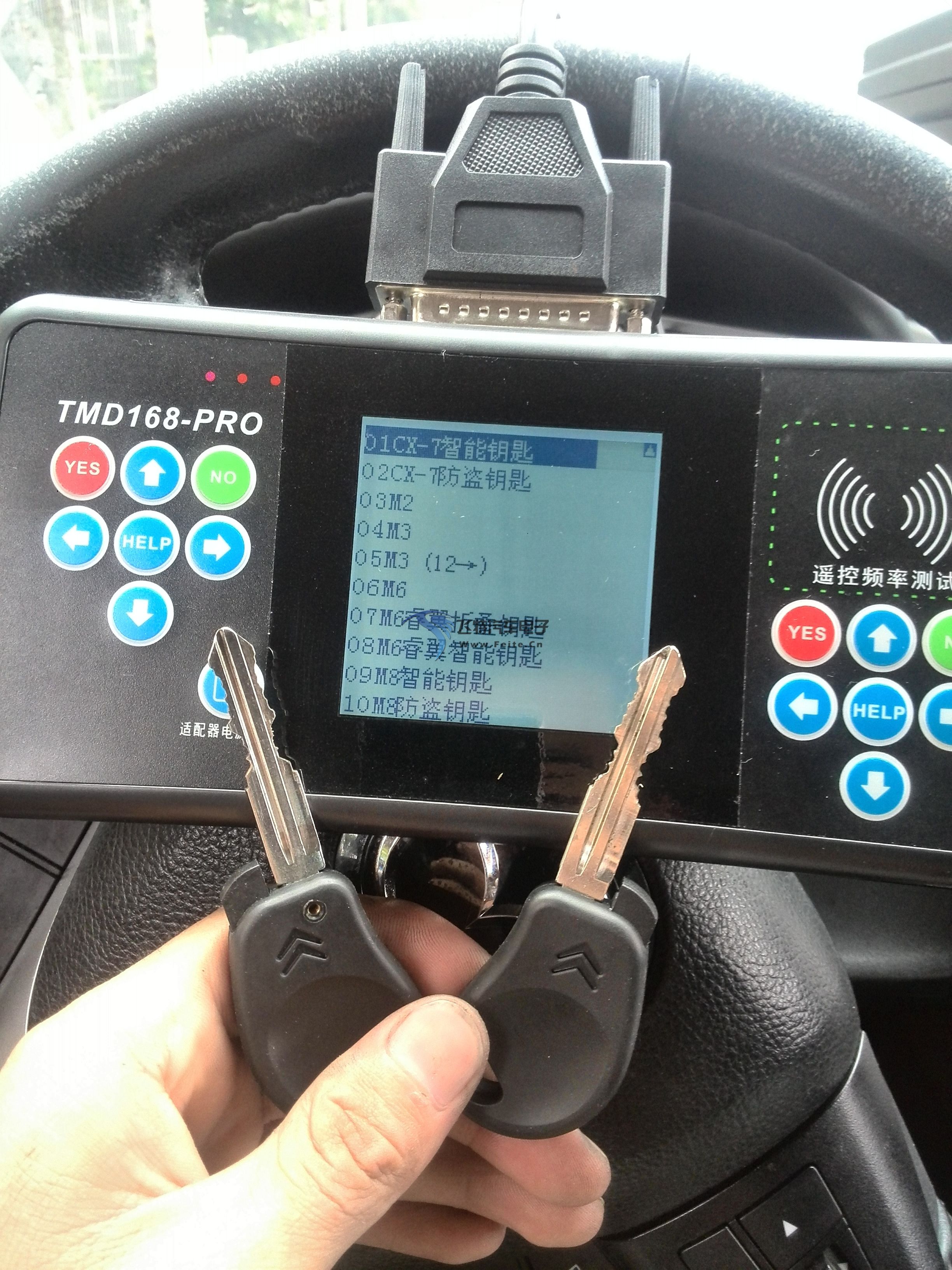 匹配选项