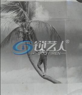 hainanliuying.jpg