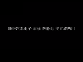 顺杰汽车电子