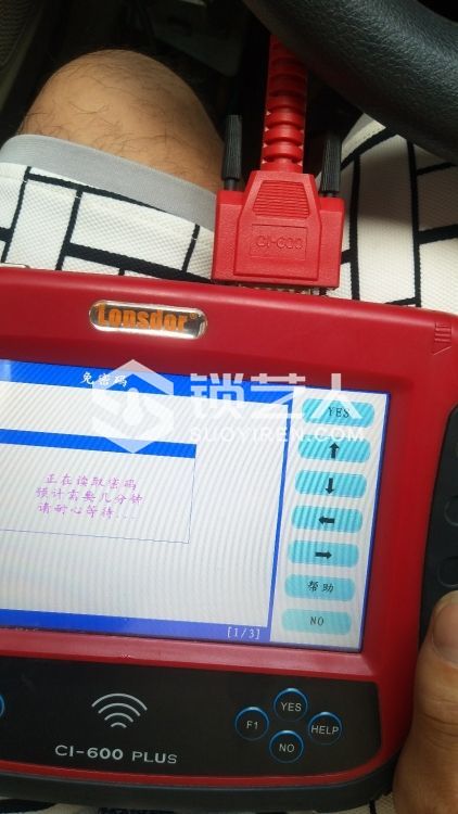 15657884601658_509.jpg