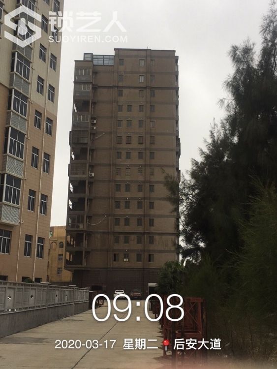 1584492412958686175.jpg