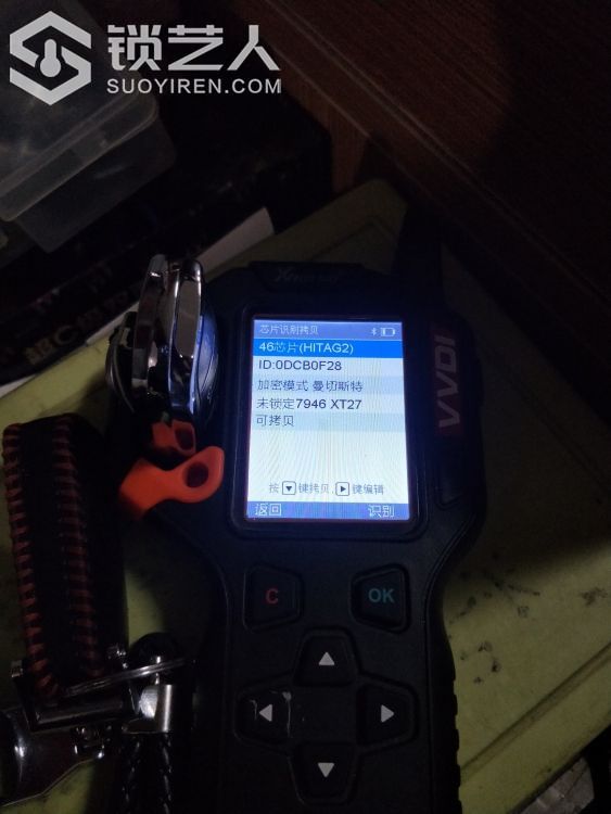 1585569040208785_388.jpg