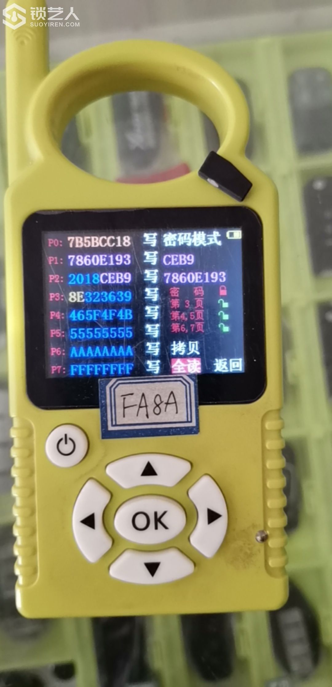 159495010227486.jpeg