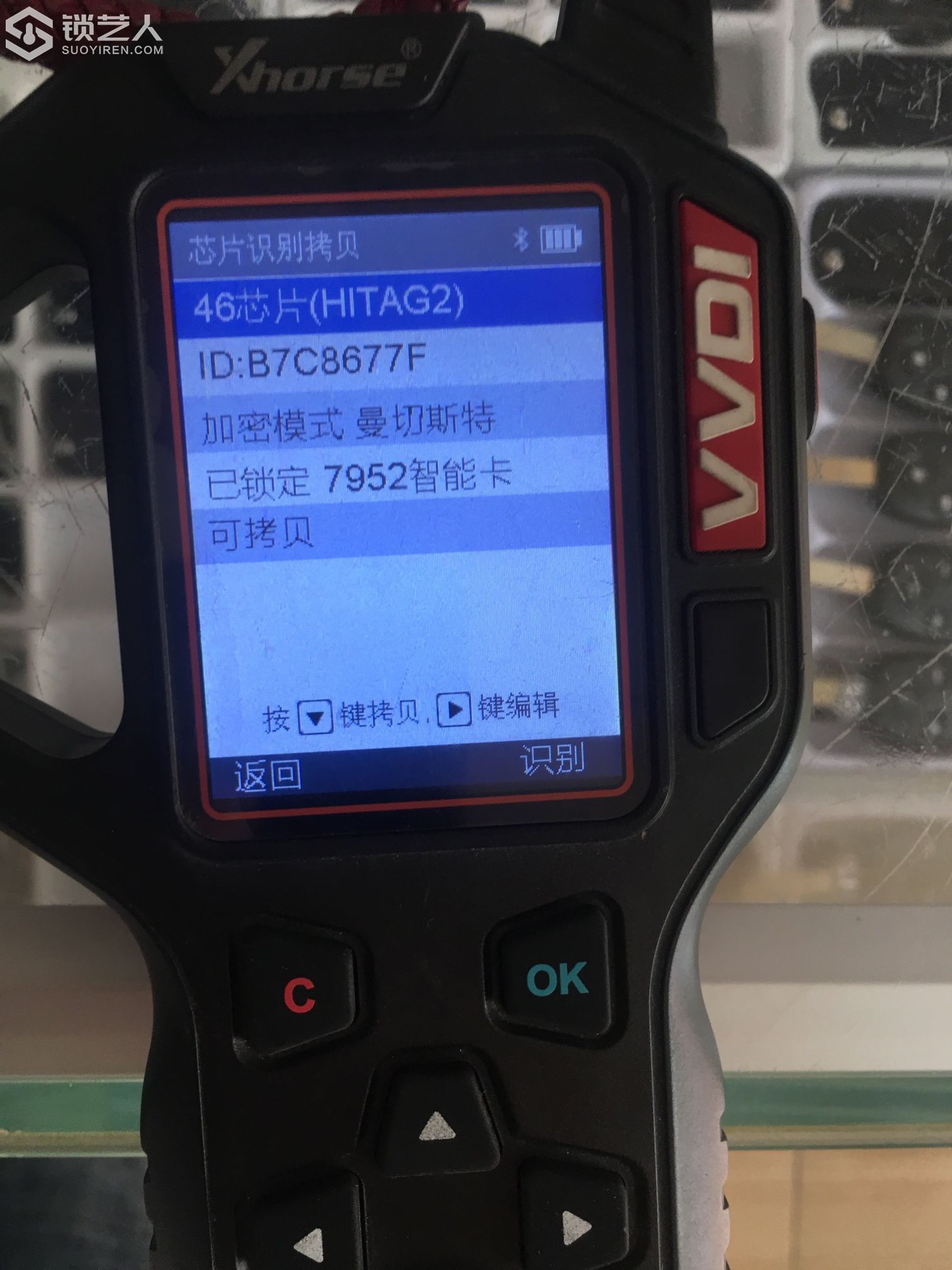 1599172605739895655.jpg