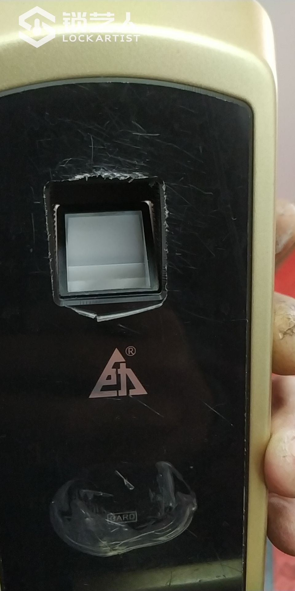 164294451098688.jpeg