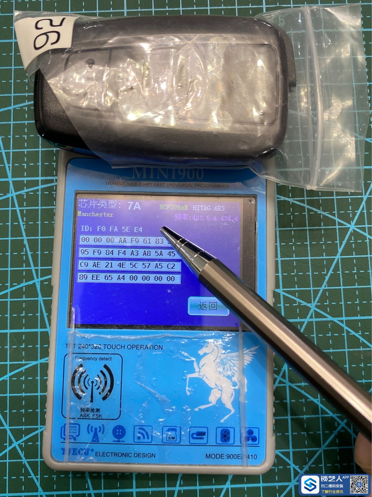 1668470361420017638.jpg