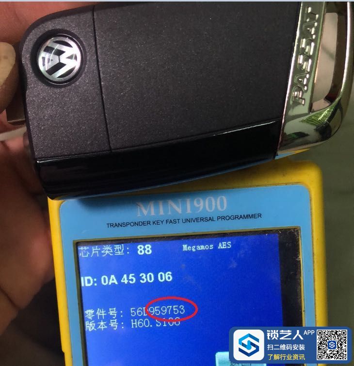 1680184653419905320.jpg