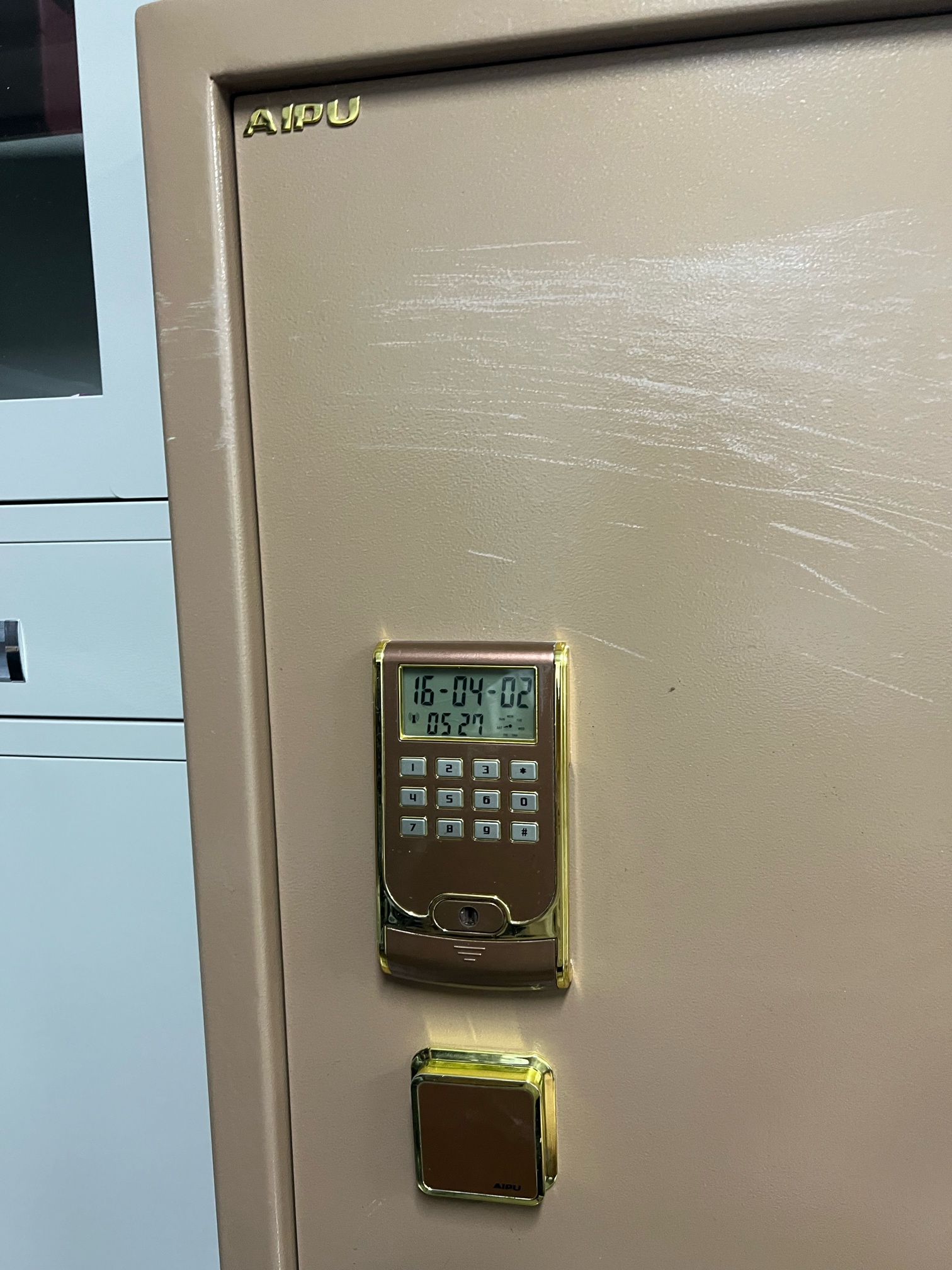 1691234865389993118.jpg