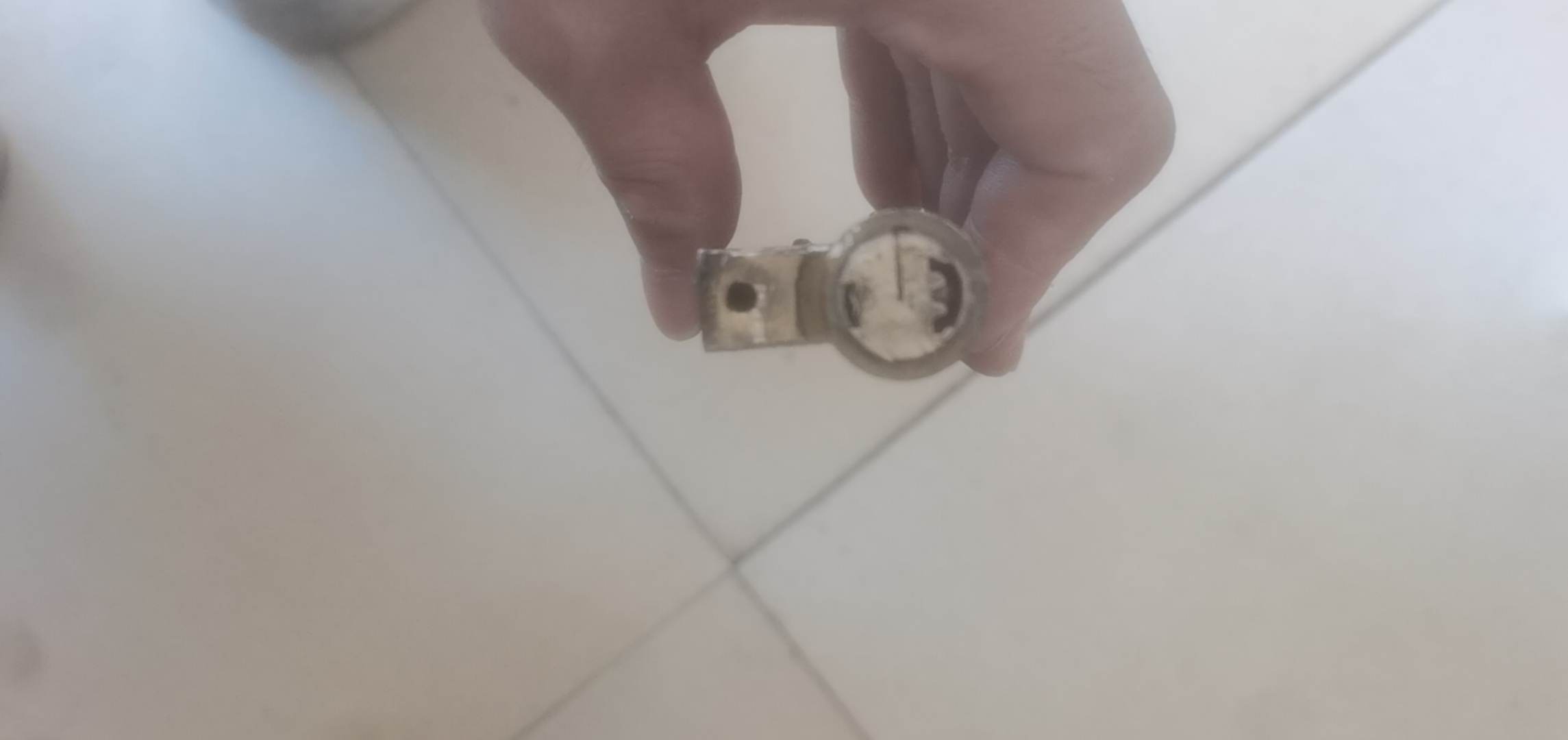 1693547004984526.jpeg