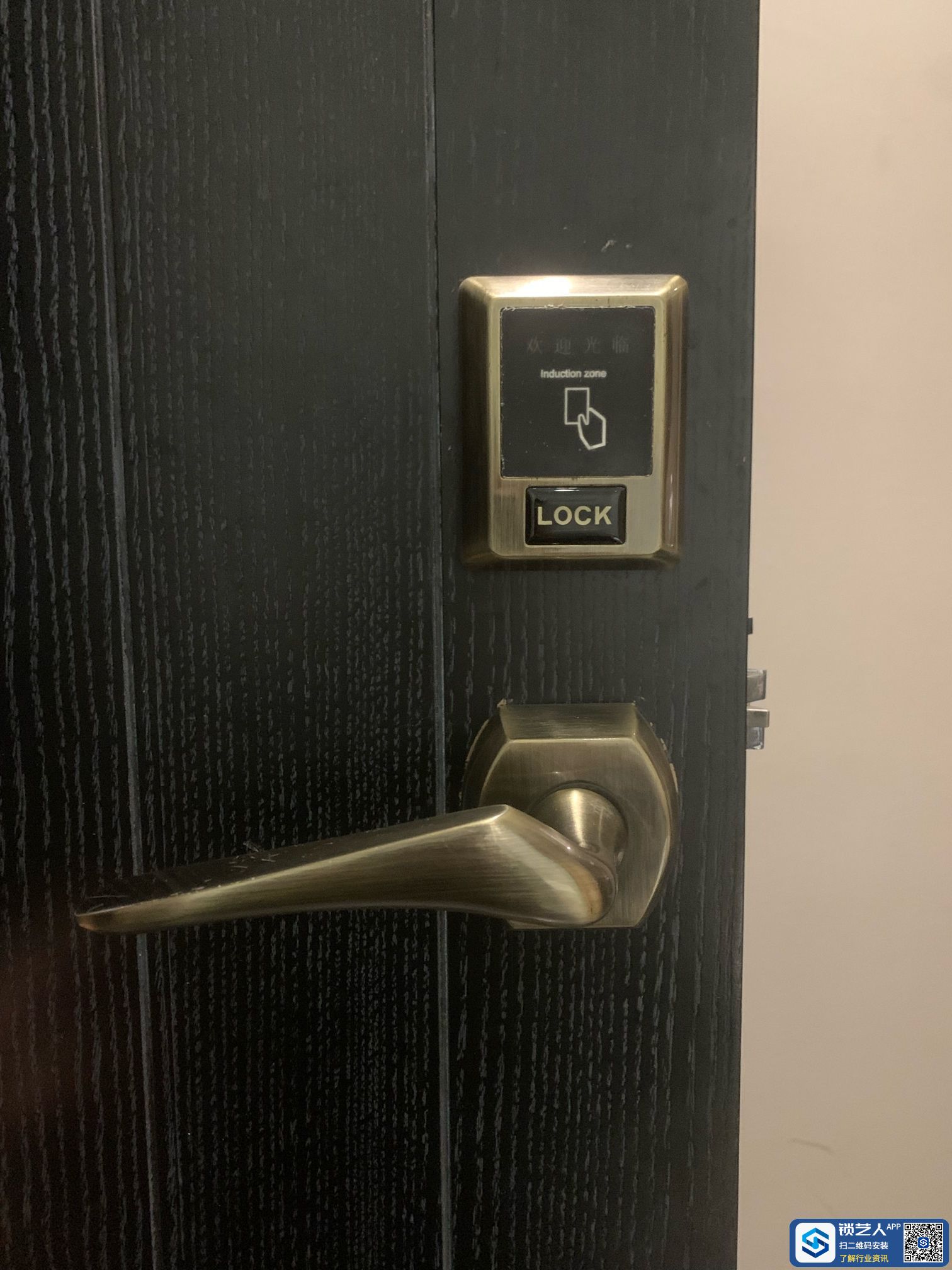 1702478335489422814.jpg