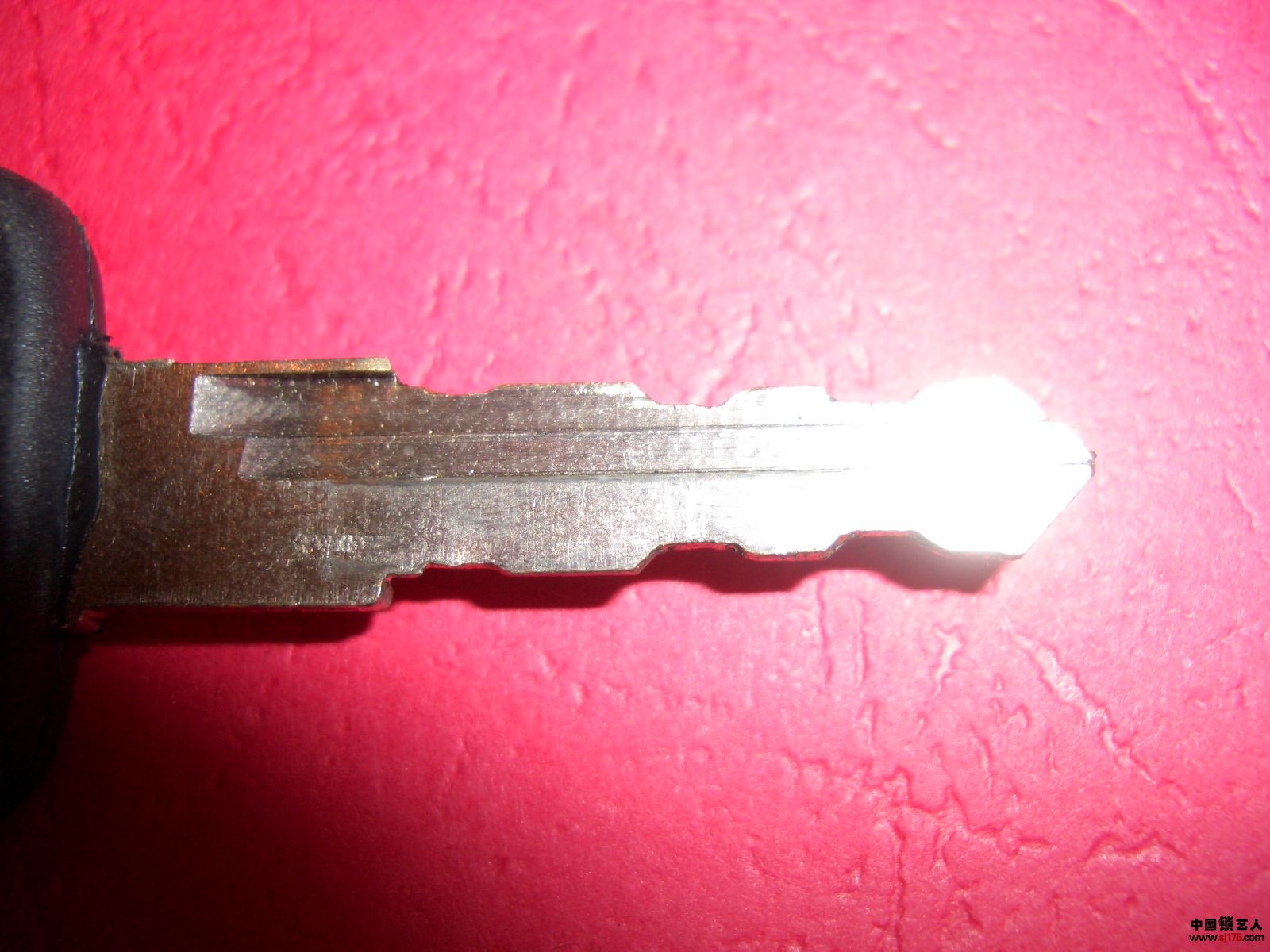 CIMG0550.JPG