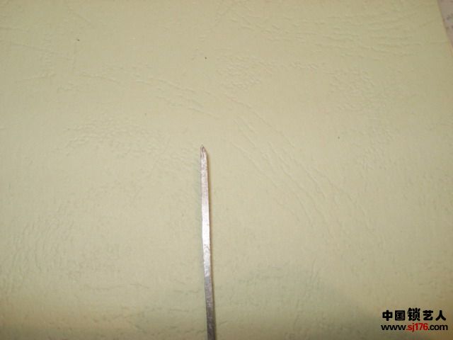 DSC02822.jpg